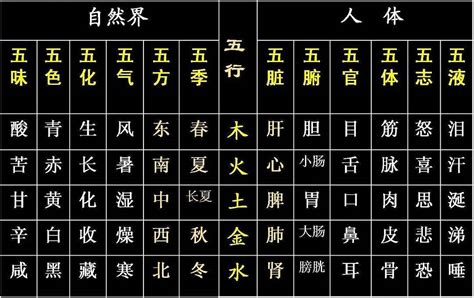 全字五行|汉字五行查询